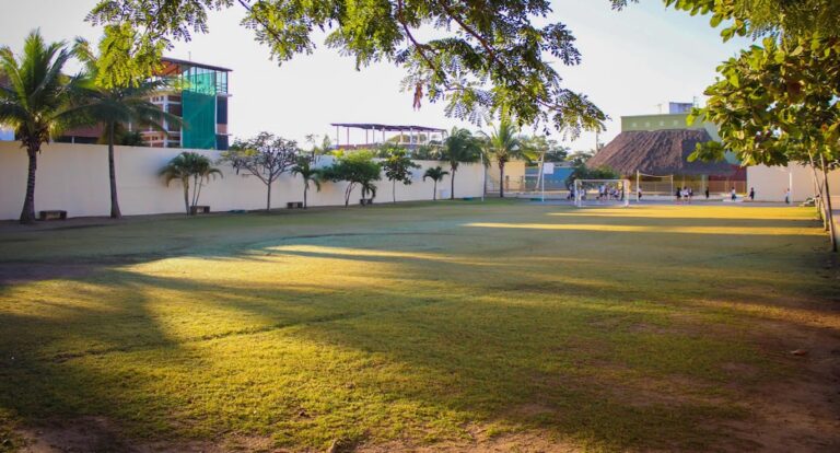 113927 colegio benito juarez nueva era mezcales bahia de banderas nayarit 768x414