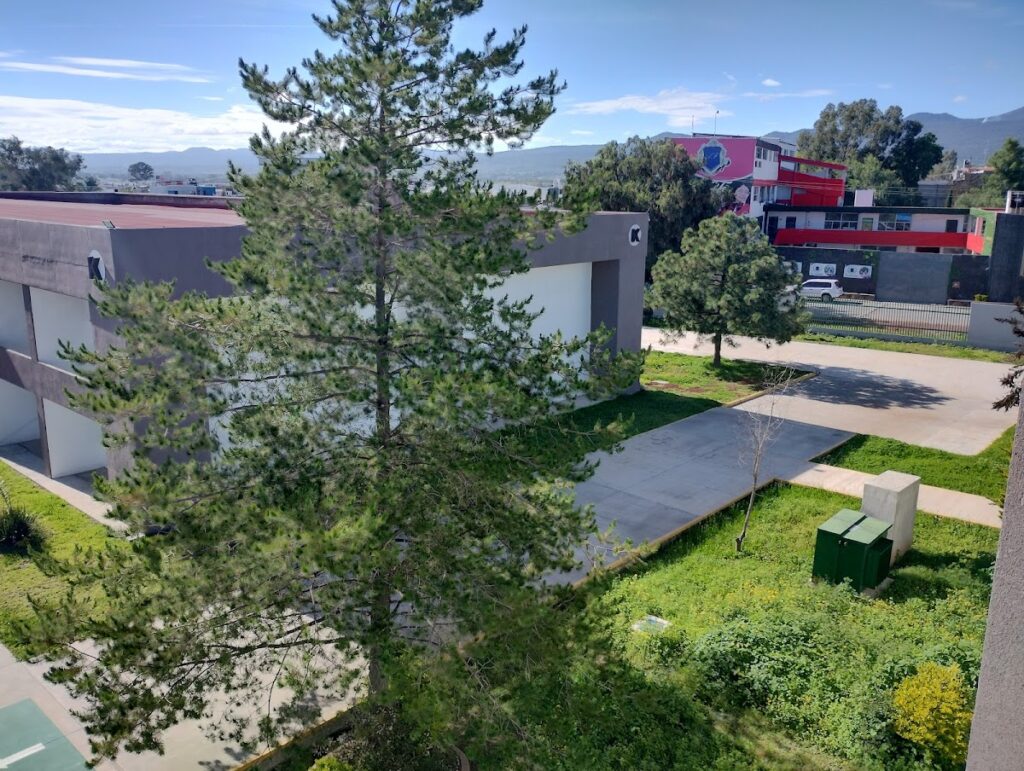 114440 universidad tecnologica de tulancingo 1024x771