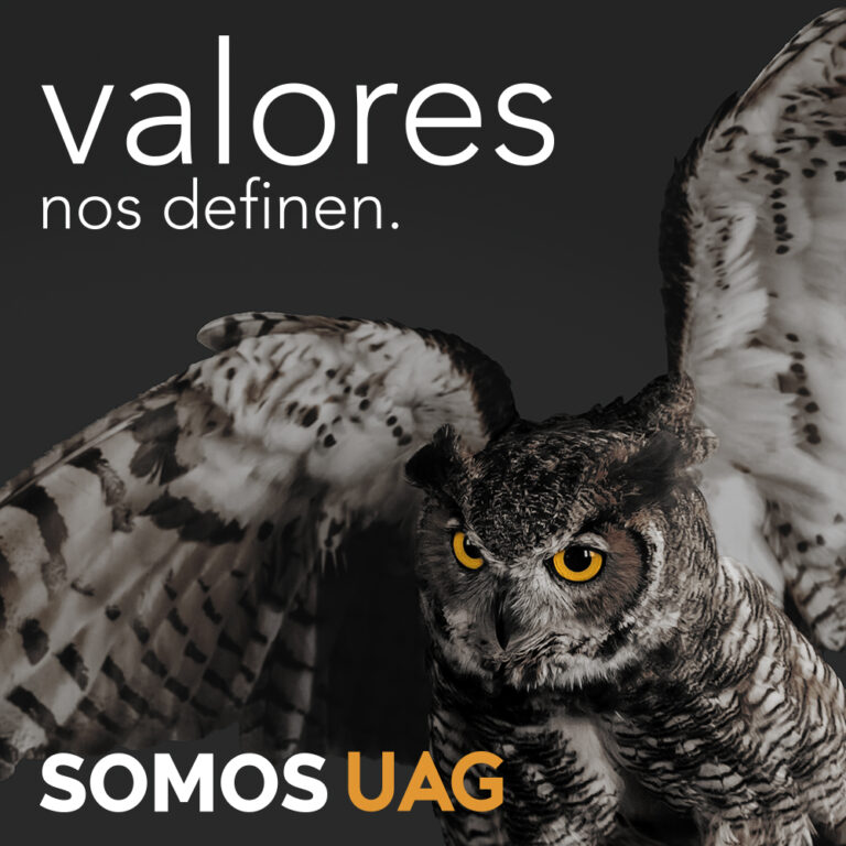 114482 universidad autonoma de guadalajara uag 8211 campus tabasco 768x768