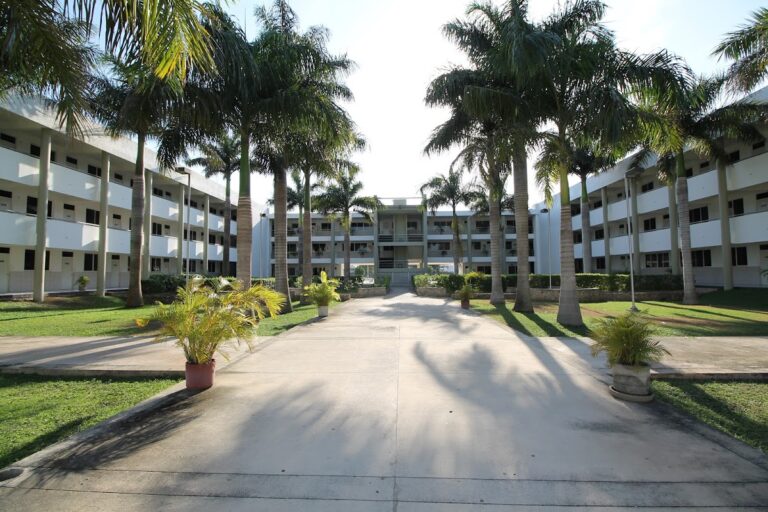 114493 universidad modelo 768x512