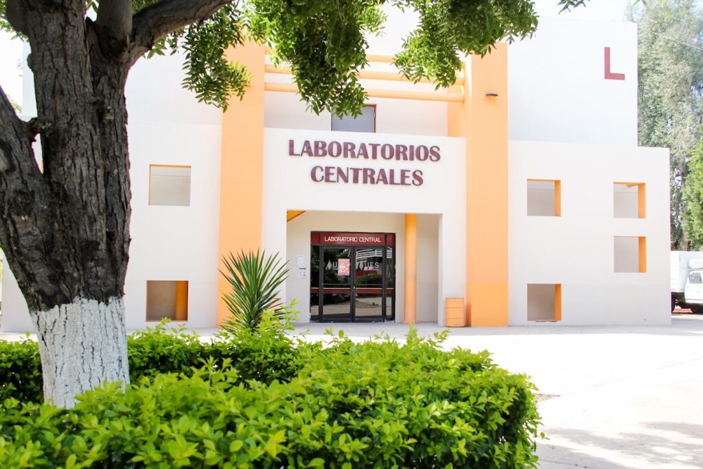 114594 ues hermosillo 1024x683