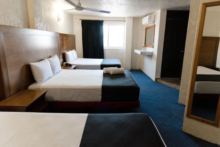 115001 hotel central irapuato 768x513