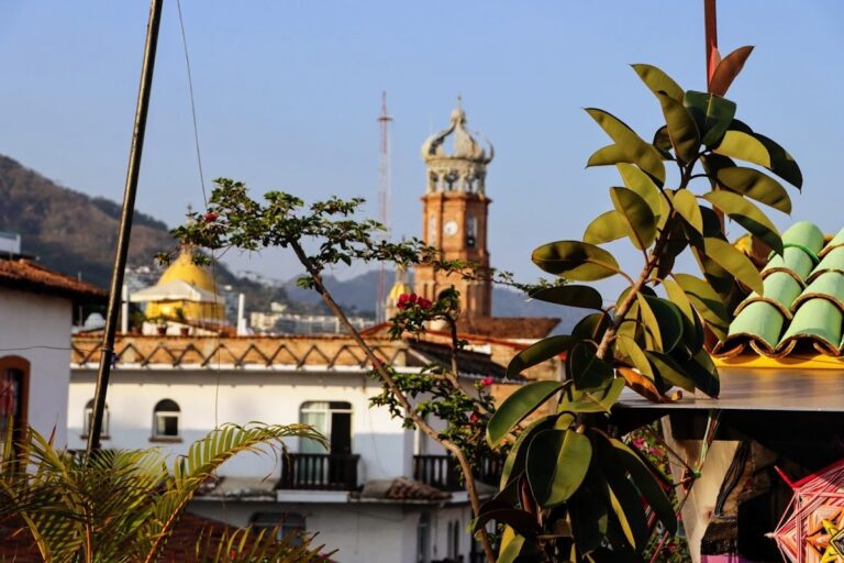115488 hostel vallarta 768x512