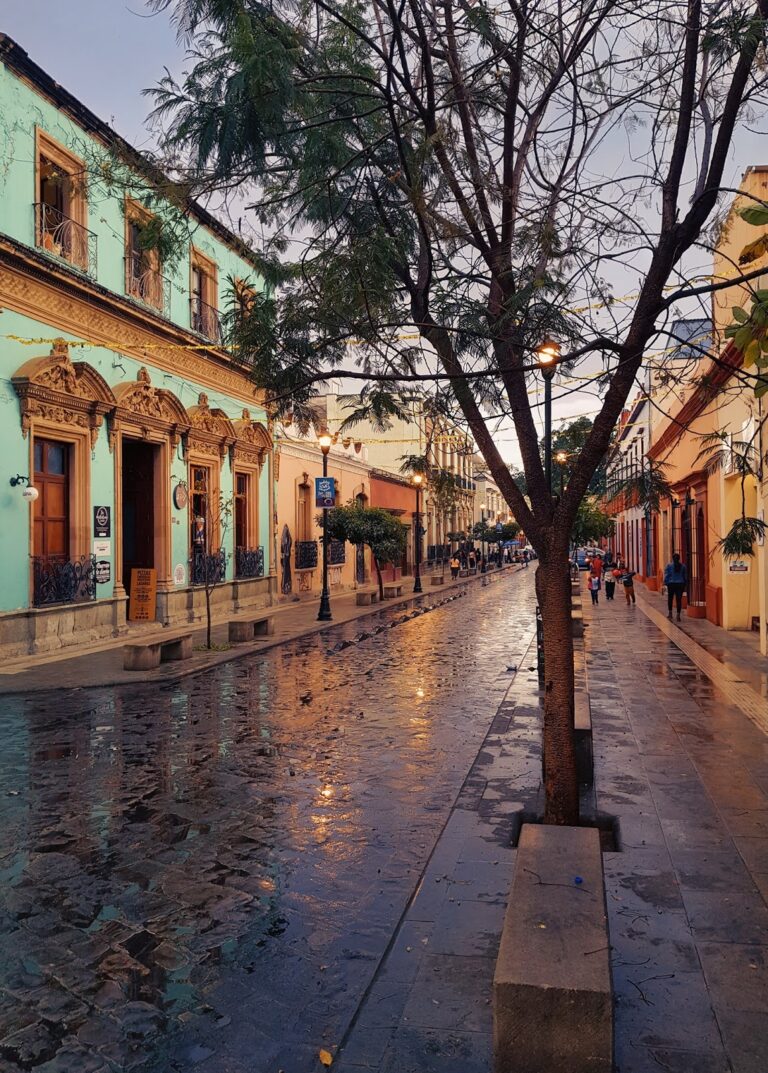 115606 hostal de las americas 768x1073