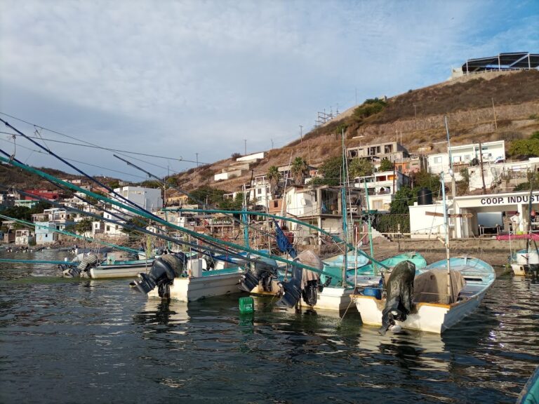 115615 tortuga hostel sinaloa 768x576
