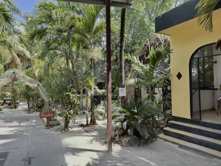 115648 hostel oryx tulum 768x576