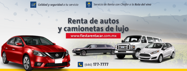 115709 fiesta renta car 768x292
