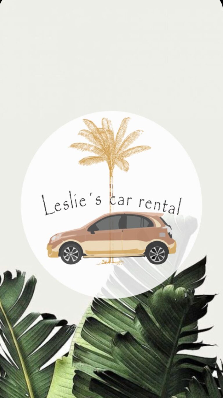 115931 leslies car rental 768x1365
