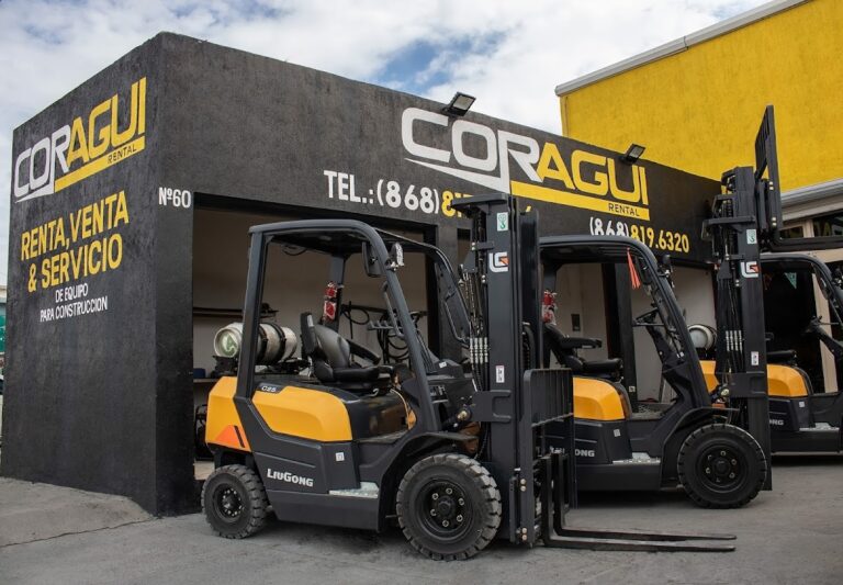 116416 coragui rental 768x533