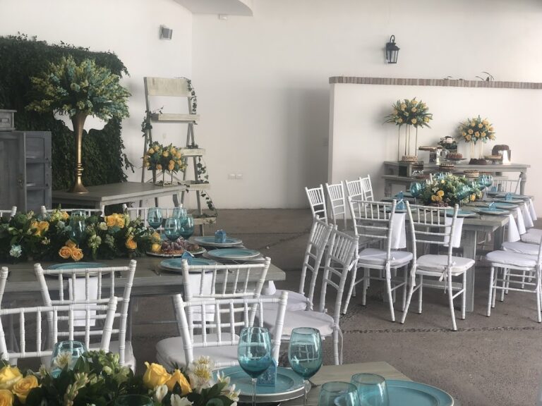 116559 quinta 330 768x576