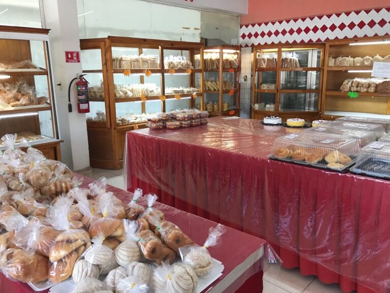 117566 panaderia la especial valladolid yucatan 768x576