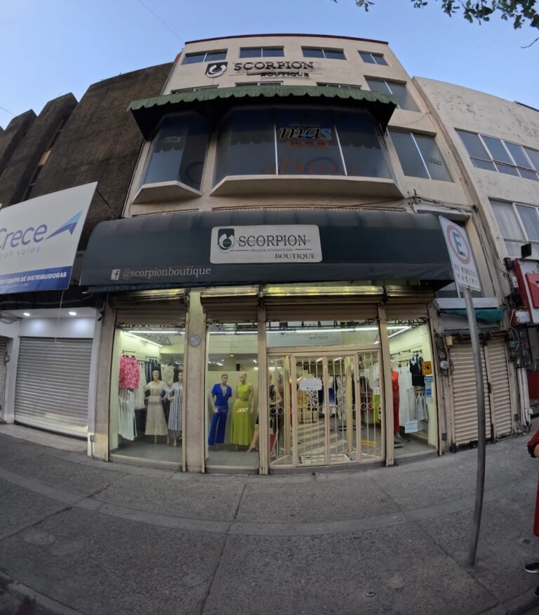118463 scorpion boutique 768x877