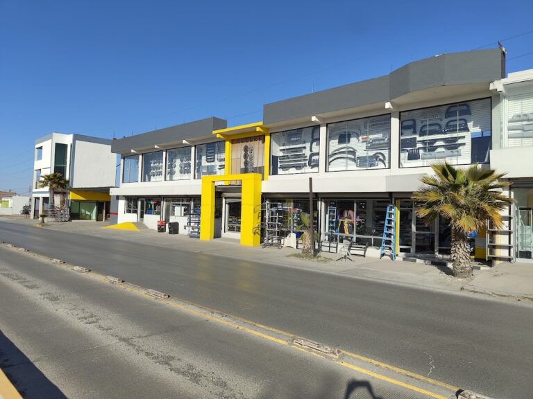 118741 las palmas auto accesorios 768x576
