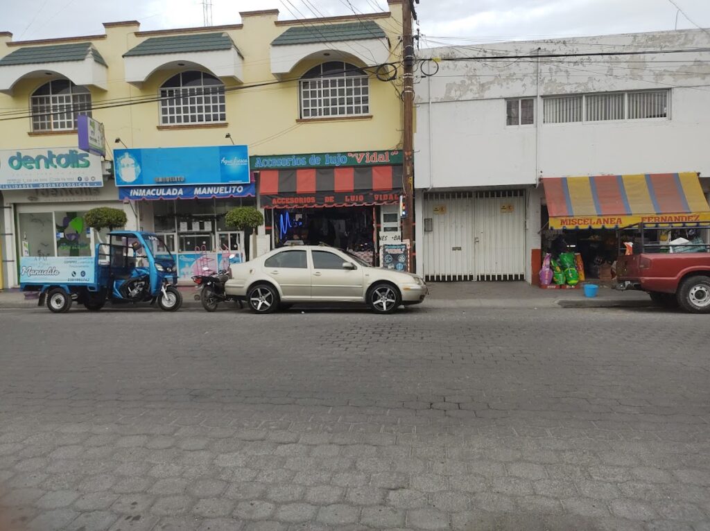 118899 accesorios de auto lujo vidal 1024x766