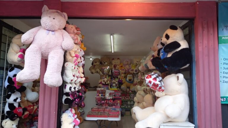 119122 la casa de los osos tienda de globos y regalos 768x432