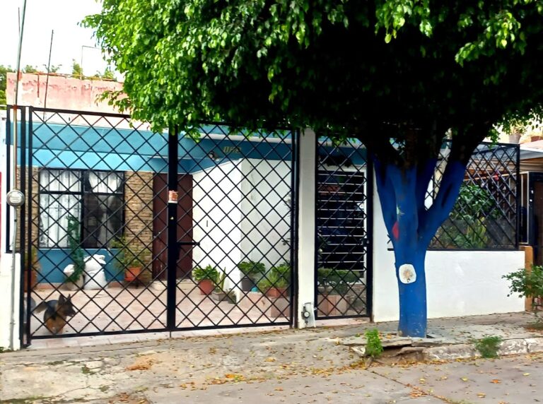 119191 regalos y sorpresas del angel 768x572