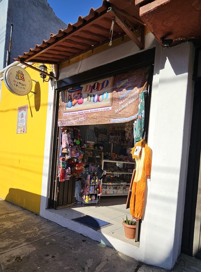 119281 de todo un poco cholula 768x1038