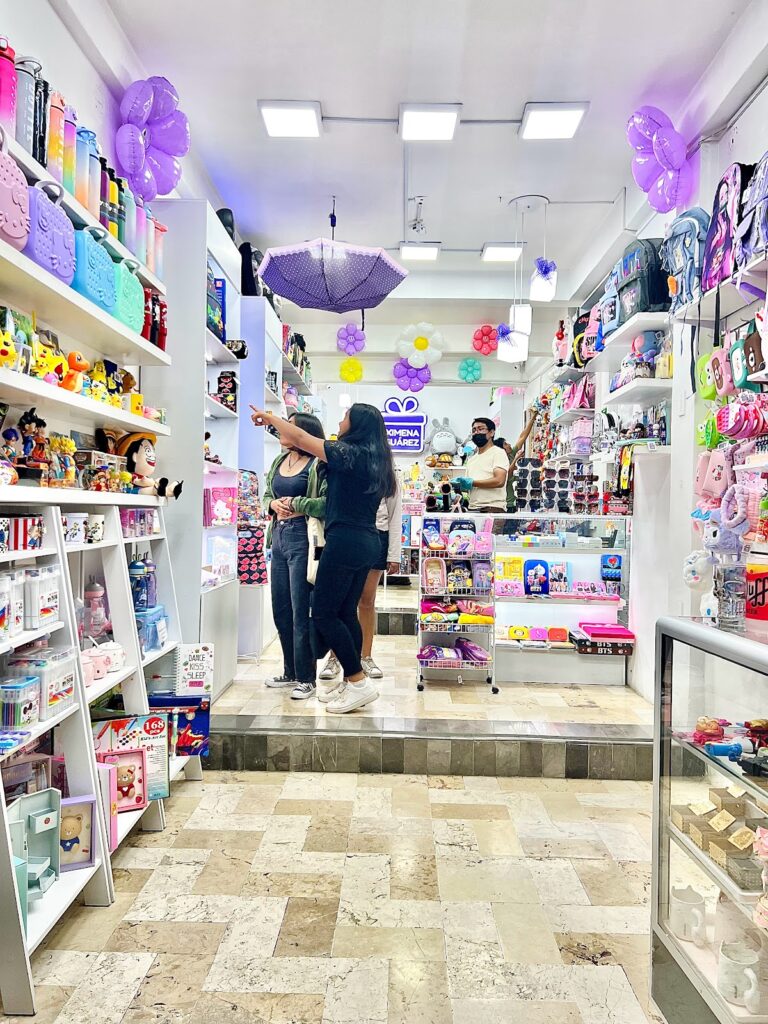 119288 ximena suarez regalos suc. centro 768x1024