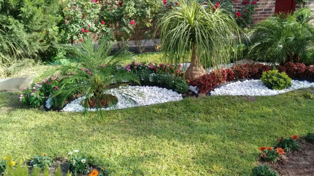 120852 vivero las azaleas 1024x576