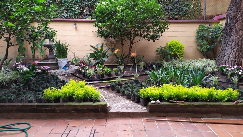 120855 jardify 8211 jardineria en cdmx 1024x576