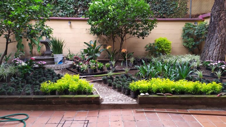 120855 jardify 8211 jardineria en cdmx 768x432