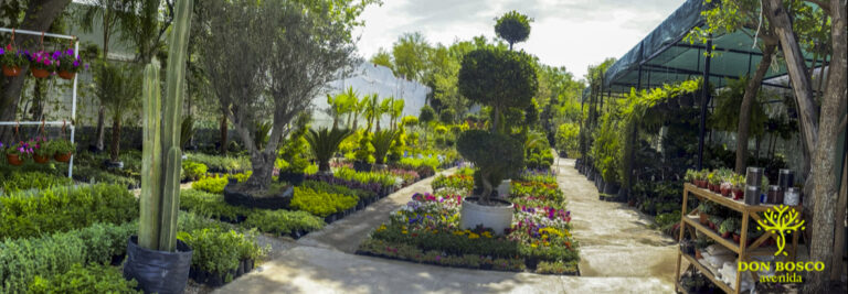 120866 don bosco avenida vivero 768x267