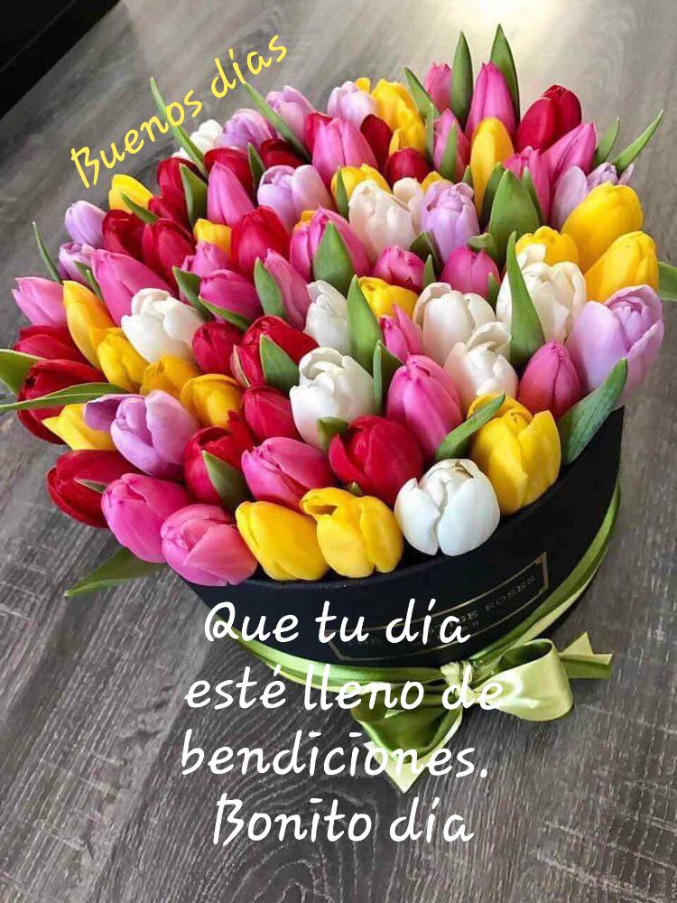 120871 jardinero al 100