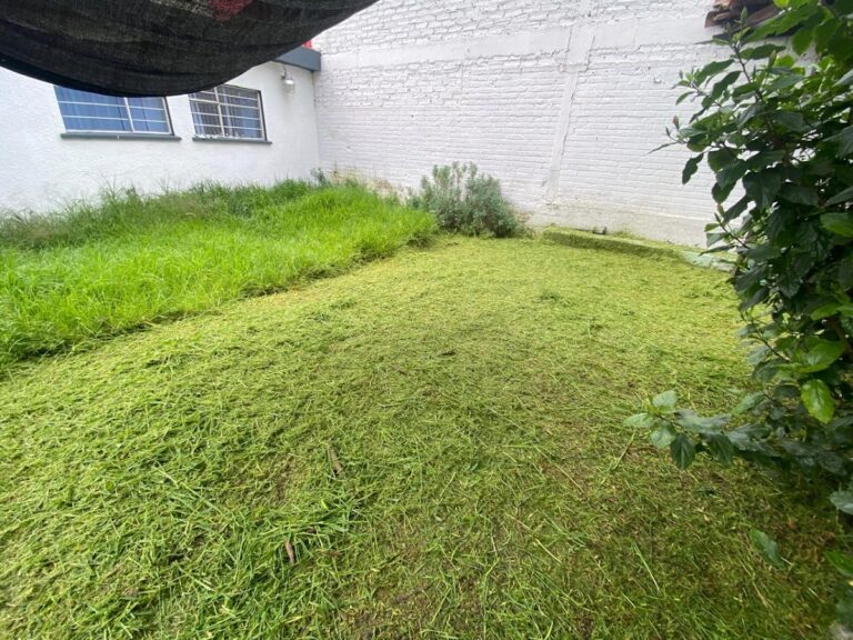120898 dm garden 768x576