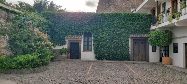 120911 eg jardineria paisajismo 768x346