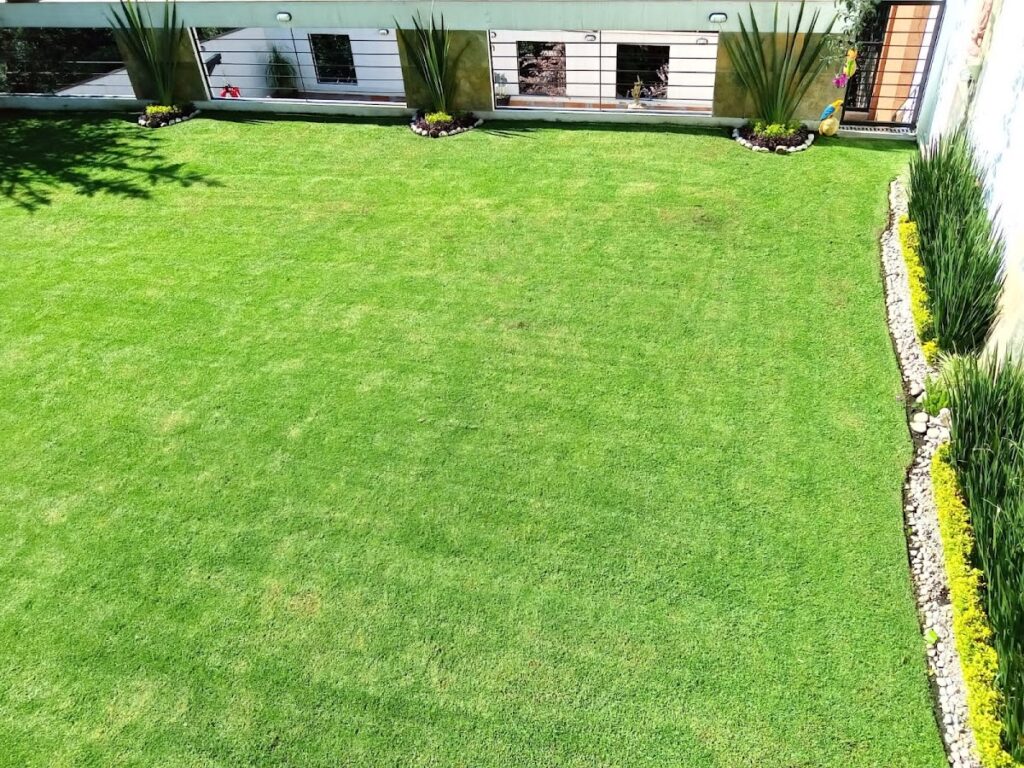 120942 jardify jardineria y paisajismo tlalnepantla 1024x768