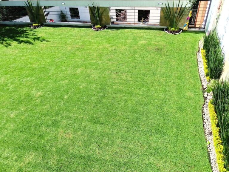 120942 jardify jardineria y paisajismo tlalnepantla 768x576