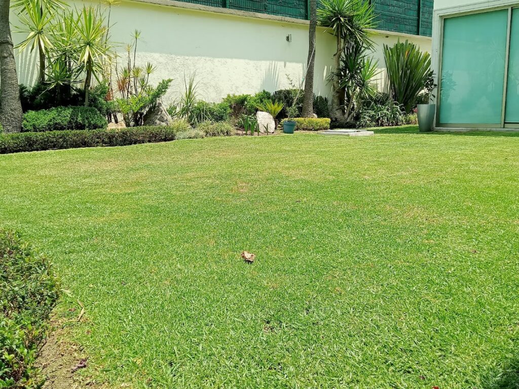 120952 jardify jardineria y paisajismo atizapan 1024x768