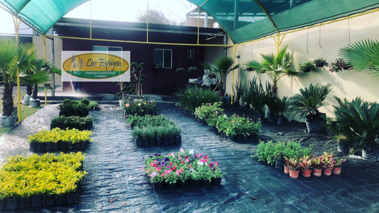 120991 las espigas paisajismo y vivero 768x432