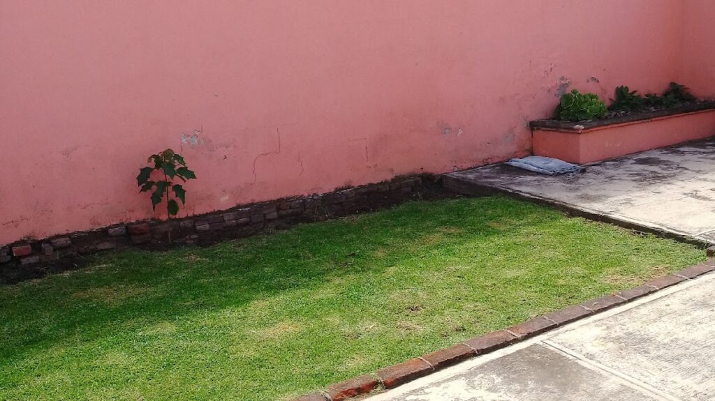 121005 jardinero cholula. zerezotla 1024x575