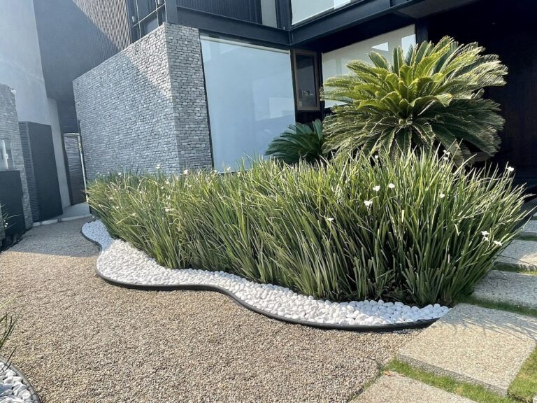 121074 evergreen jardineria 768x576