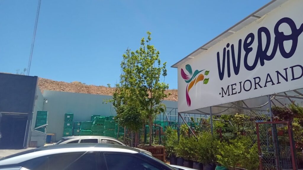 121095 vivero colibri 1024x576