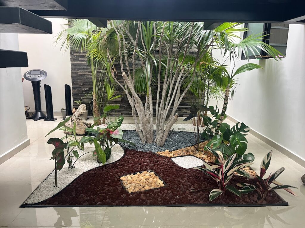 121113 mi jardin mx 1024x768