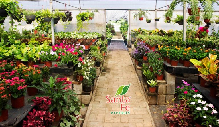 121115 santa fe viveros 768x445