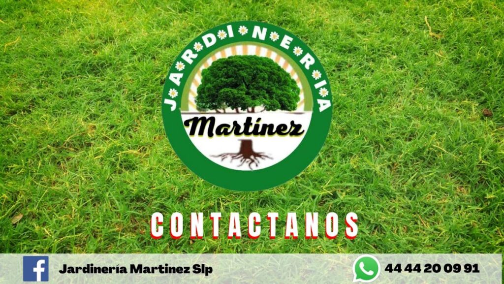 121137 jardineria martinez slp 1024x577