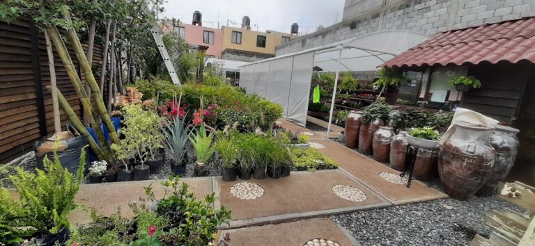 121139 viveros del lago 768x354