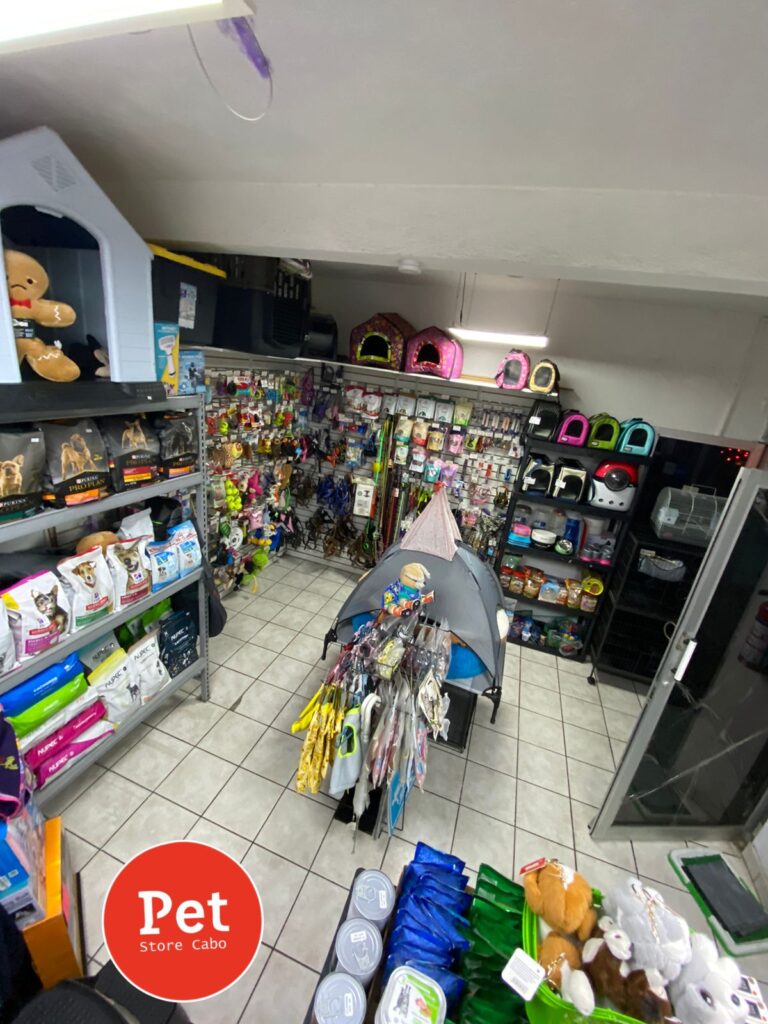 121601 pet store cabo 768x1024