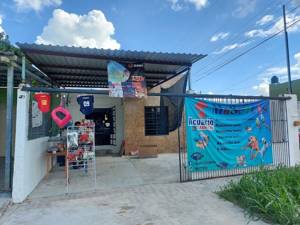 121604 tienda de mascotas y acuario campeche presidentes 1024x768