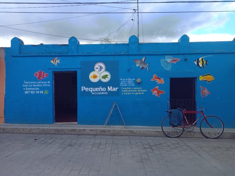 121619 acuario pequeno mar 768x576