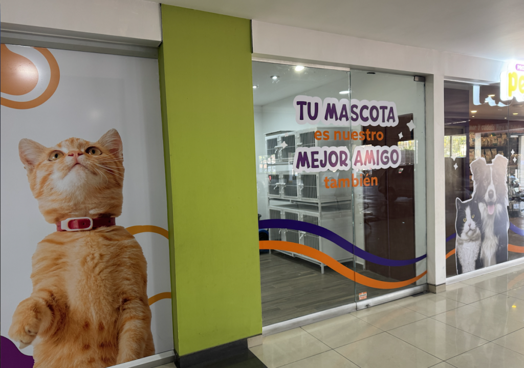 121661 proveco pets 1024x719