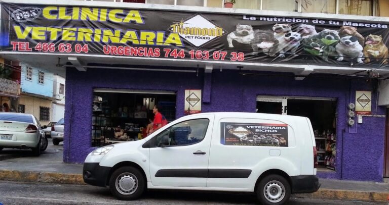 121710 clinica veterinaria bichos 768x406