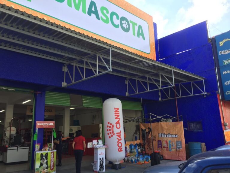 121736 pumascota tlalnepantla 768x576