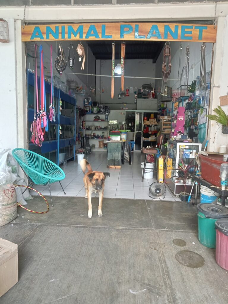 121776 animal planet tepic 768x1024