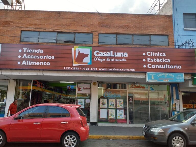121782 clinica veterinaria casa luna tlalnepantla 768x576