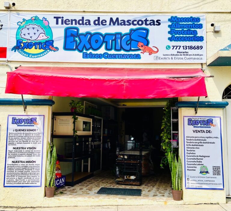 121792 exotics erizos cuernavaca 768x701