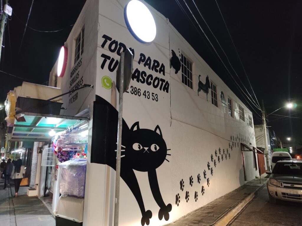 121834 pets land queretaro 1024x768